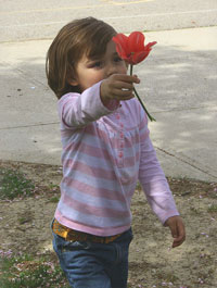 Childholdingrose